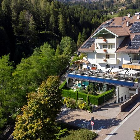 Hotel Erica テーゼロ エクステリア 写真