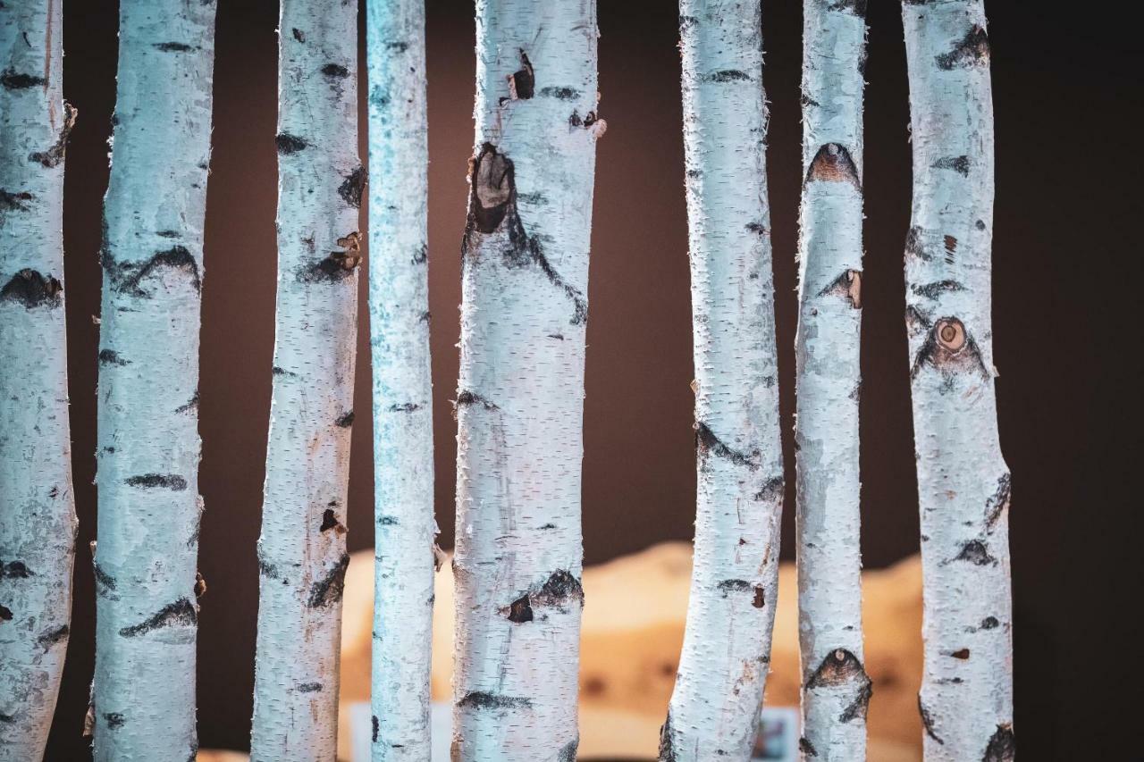 Hotel Erica テーゼロ エクステリア 写真